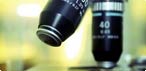Microscopio