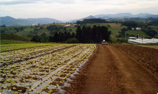 Tierra labrada