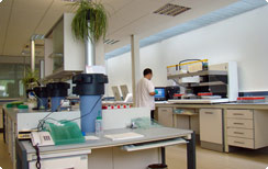 Trabajando en el laboratorio