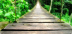 Vereda de madera