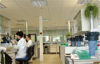 Interior de Fraisoro